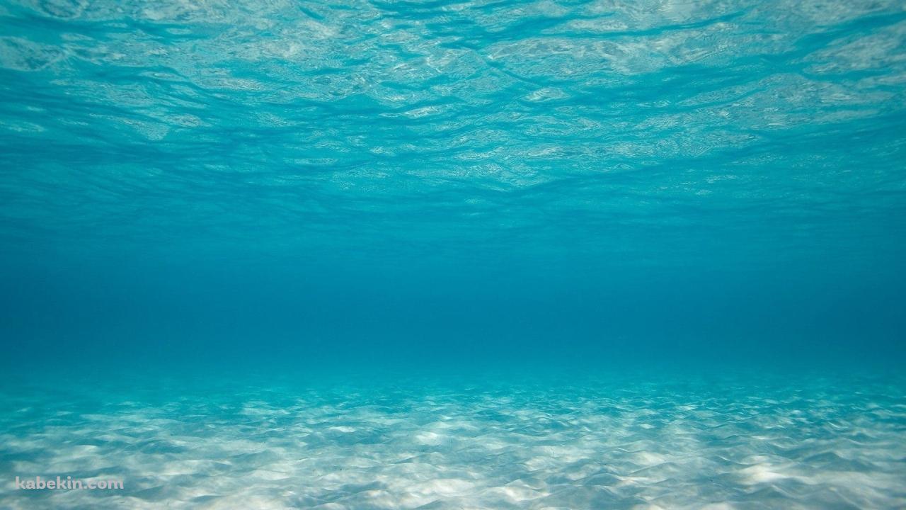 海底 海中 澄んだ海の壁紙(1280px x 720px) 高画質 PC・デスクトップ用