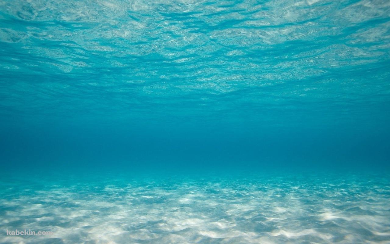 海底 海中 澄んだ海の壁紙(1280px x 800px) 高画質 PC・デスクトップ用