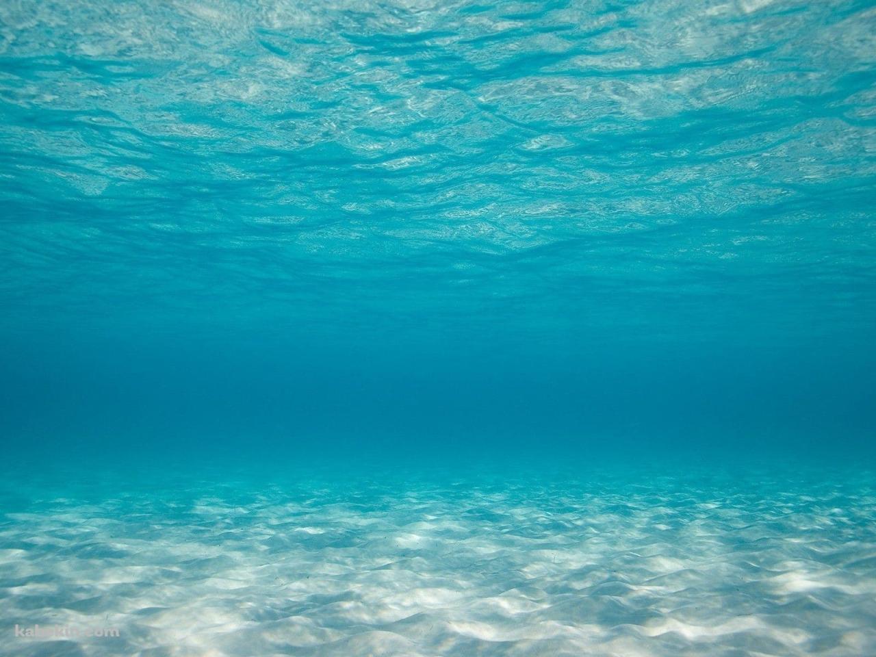 海底 海中 澄んだ海の壁紙(1280px x 960px) 高画質 PC・デスクトップ用