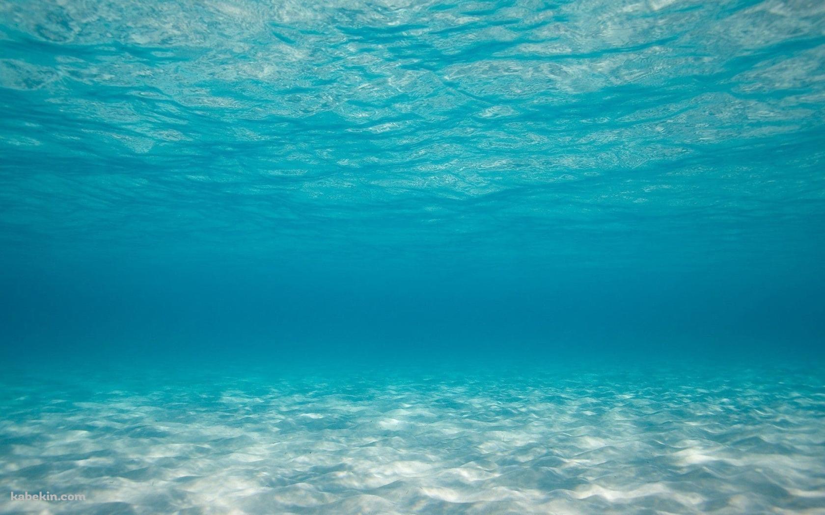 海底 海中 澄んだ海の壁紙(1680px x 1050px) 高画質 PC・デスクトップ用