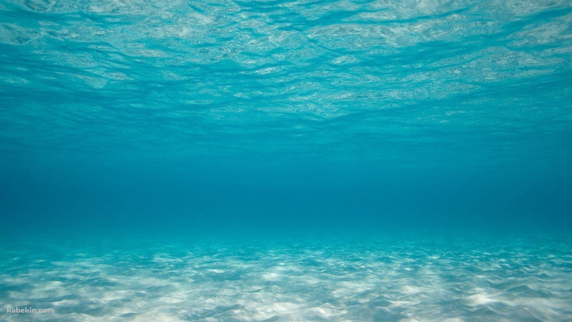 海底 海中 澄んだ海の壁紙(1829px x 1029px) 高画質 PC・デスクトップ用