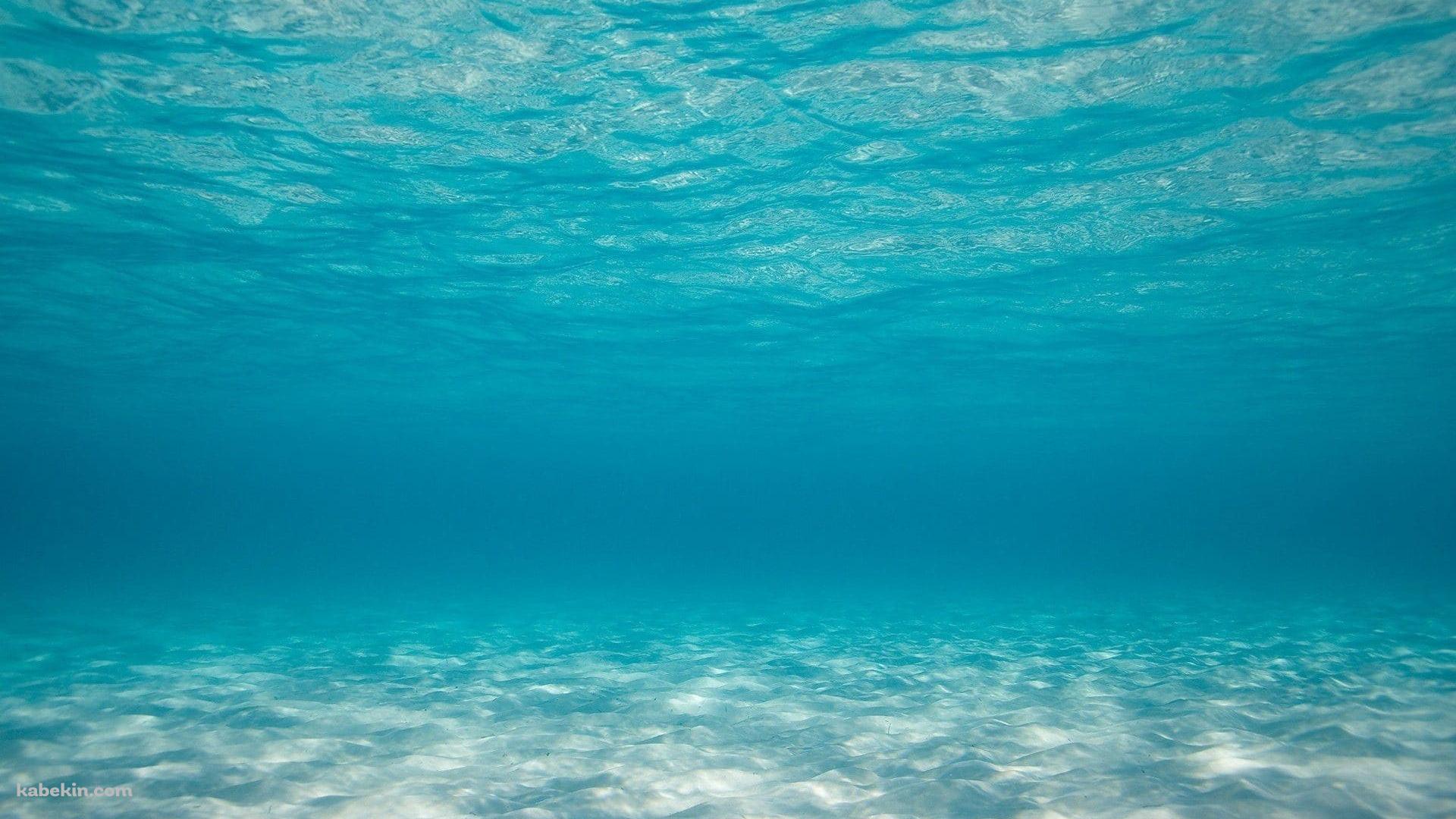 海底 海中 澄んだ海の壁紙(1920px x 1080px) 高画質 PC・デスクトップ用