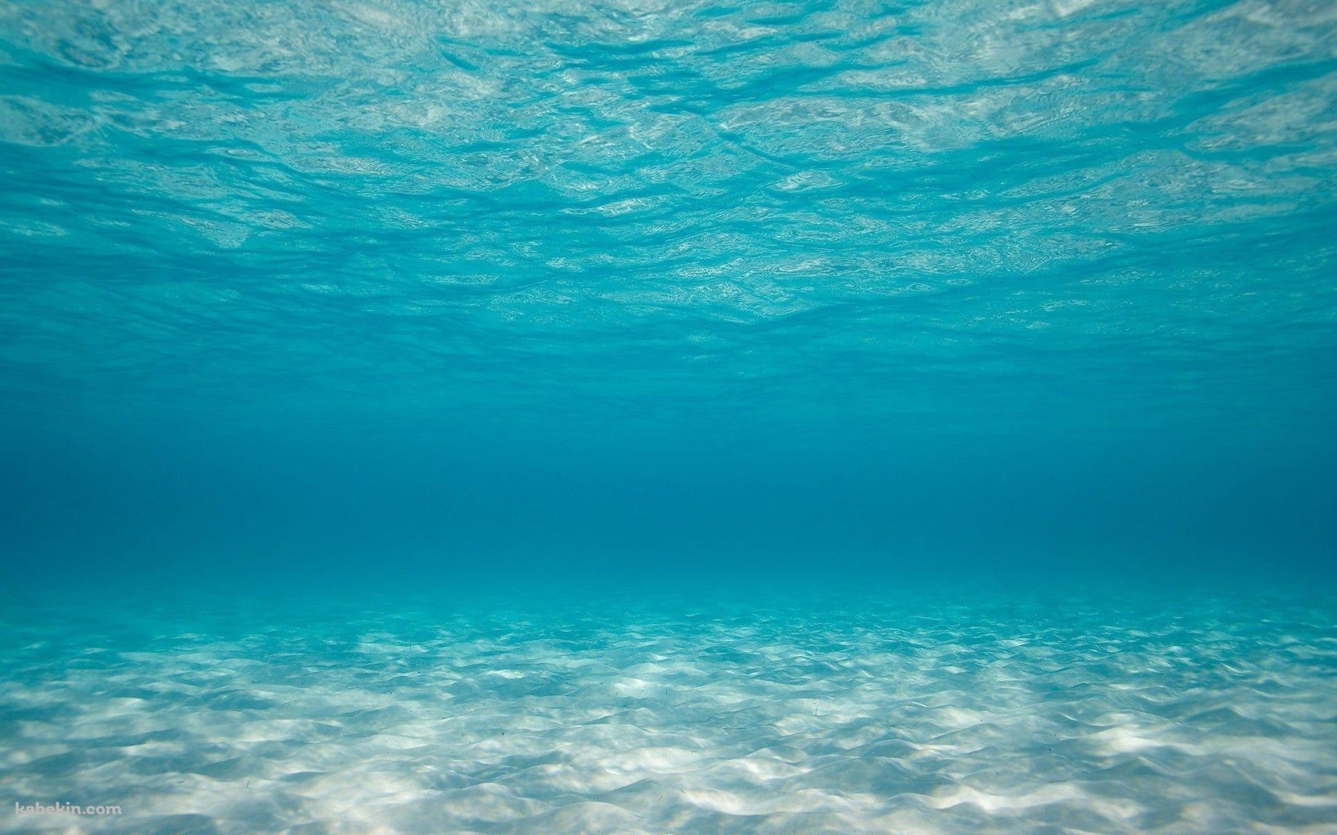 海底 海中 澄んだ海の壁紙(1920px x 1200px) 高画質 PC・デスクトップ用