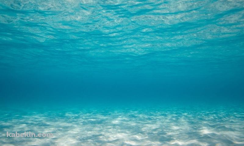 海底 海中 澄んだ海の壁紙(800px x 480px) 高画質 PC・デスクトップ用