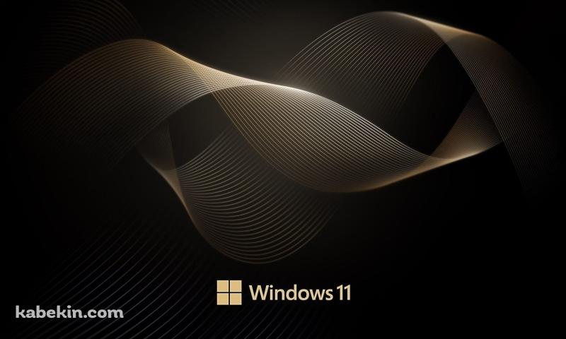 Windows 11 金色の螺旋 黒地の壁紙(800px x 480px) 高画質 PC・デスクトップ用