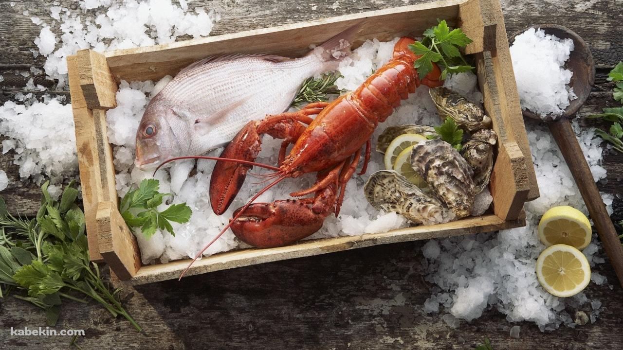 魚介類 / 鯛 / ロブスター / 牡蠣 / レモン / 氷の壁紙(1280px x 720px) 高画質 PC・デスクトップ用