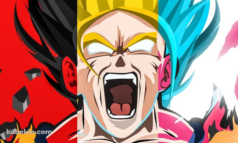 ドラゴンボール 咆哮するブロリー サイヤ人 かっこいいの壁紙(800px x 480px) 高画質 PC・デスクトップ用