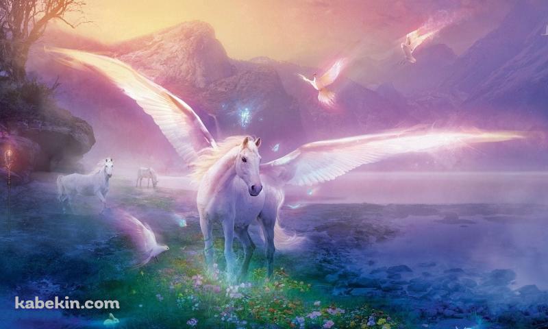 ペガサスの壁紙(800px x 480px) 高画質 PC・デスクトップ用