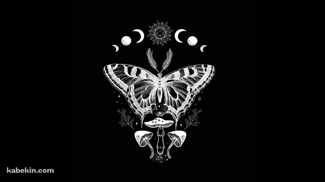 蛾 / キノコ / 星・月の壁紙(1051px x 591px) 高画質 PC・デスクトップ用