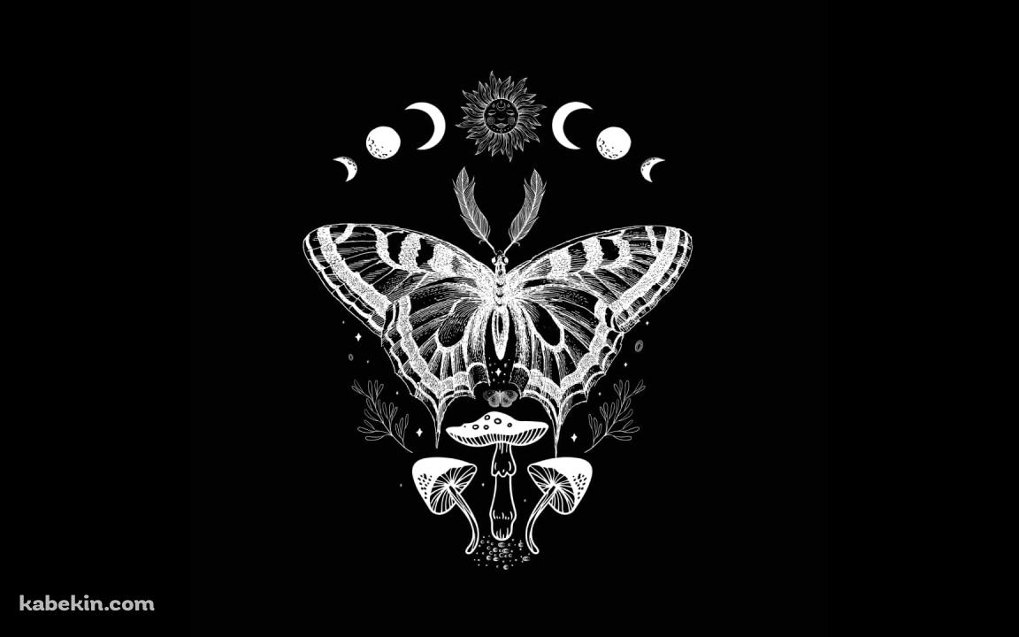 蛾 / キノコ / 星・月の壁紙(1152px x 720px) 高画質 PC・デスクトップ用