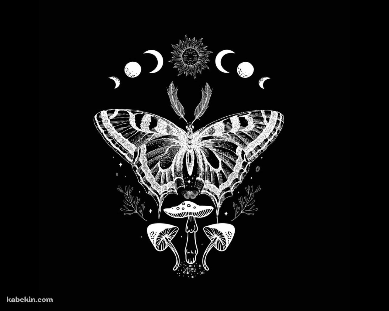 蛾 / キノコ / 星・月の壁紙(1280px x 1024px) 高画質 PC・デスクトップ用