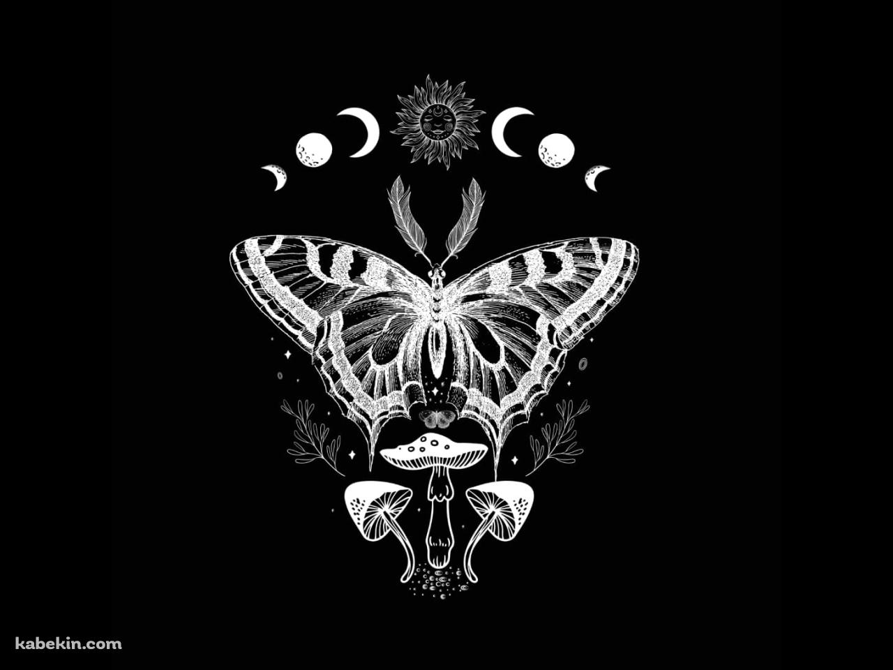 蛾 / キノコ / 星・月の壁紙(1280px x 960px) 高画質 PC・デスクトップ用