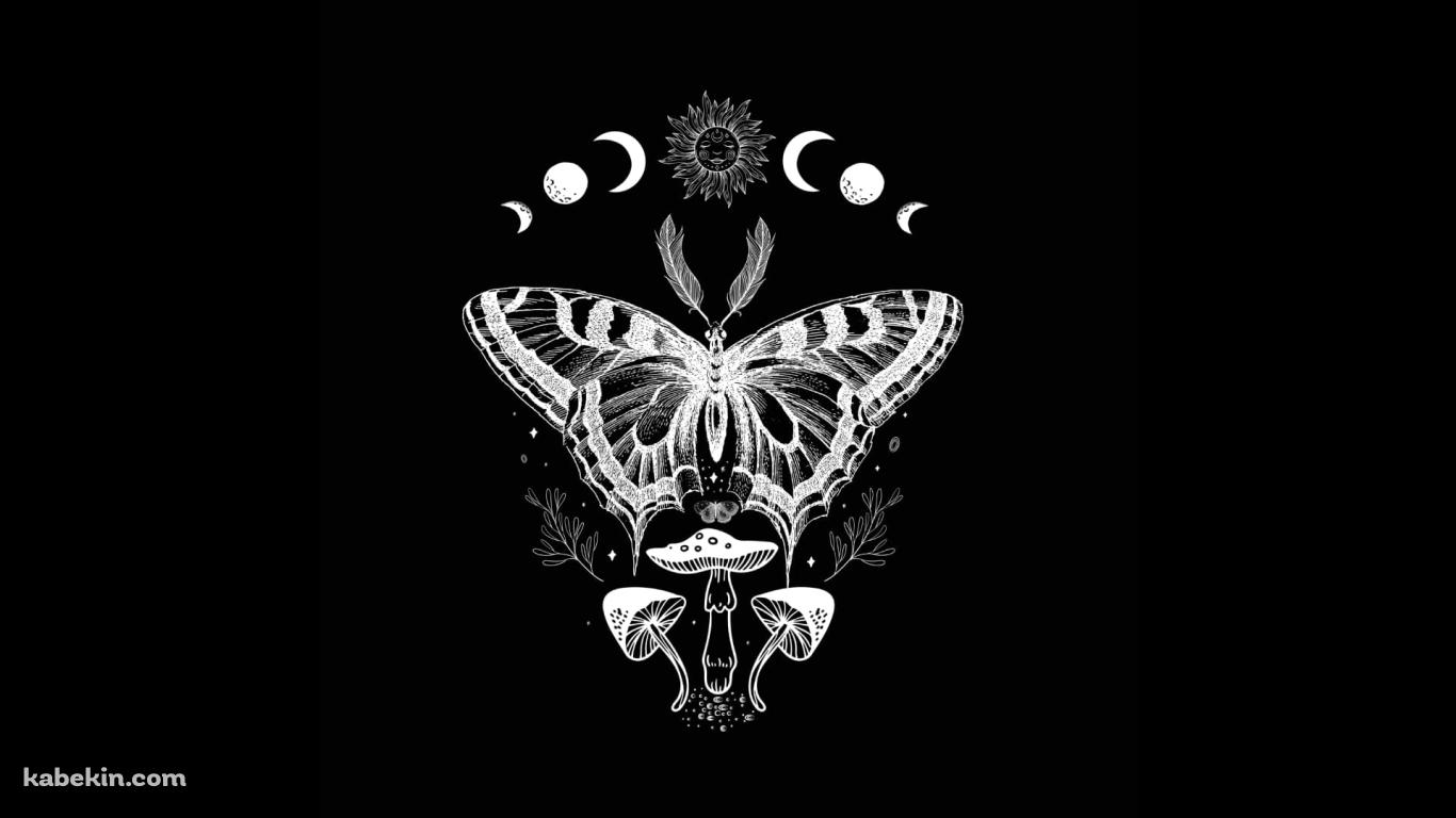 蛾 / キノコ / 星・月の壁紙(1366px x 768px) 高画質 PC・デスクトップ用