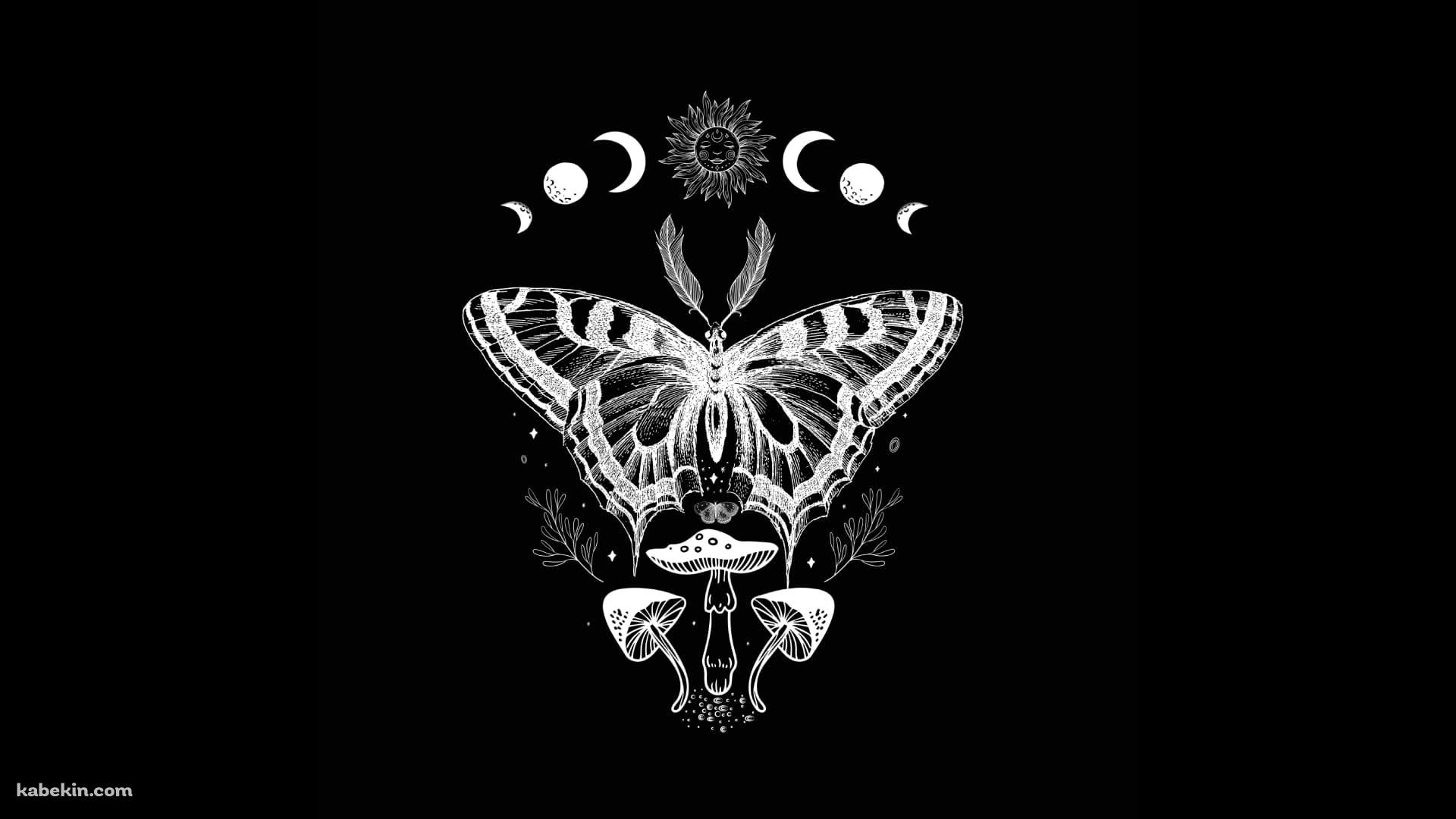 蛾 / キノコ / 星・月の壁紙(1920px x 1080px) 高画質 PC・デスクトップ用