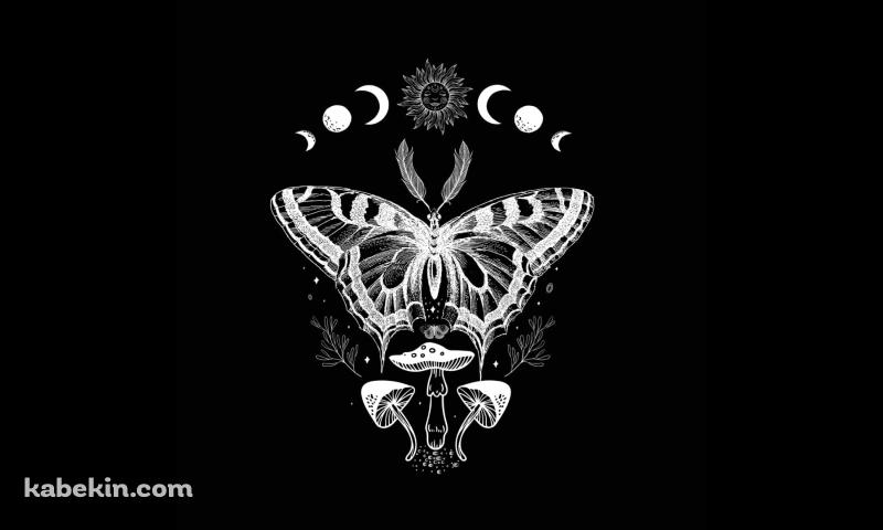 蛾 / キノコ / 星・月の壁紙(800px x 480px) 高画質 PC・デスクトップ用