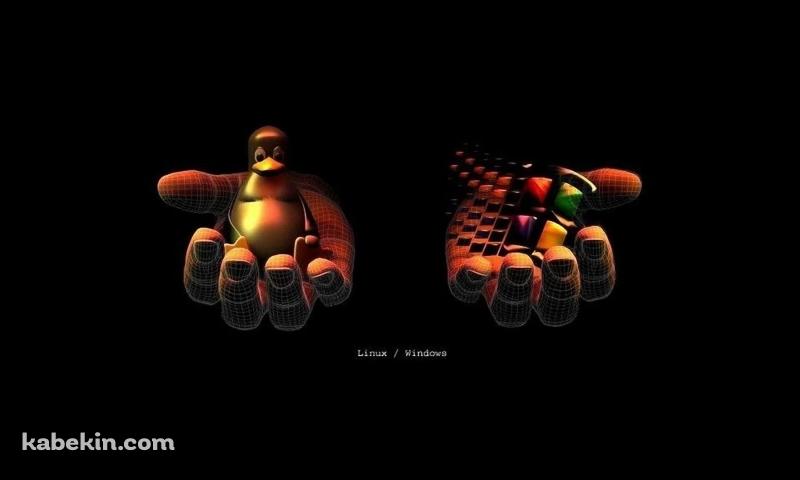Linux or Windowsの壁紙(800px x 480px) 高画質 PC・デスクトップ用