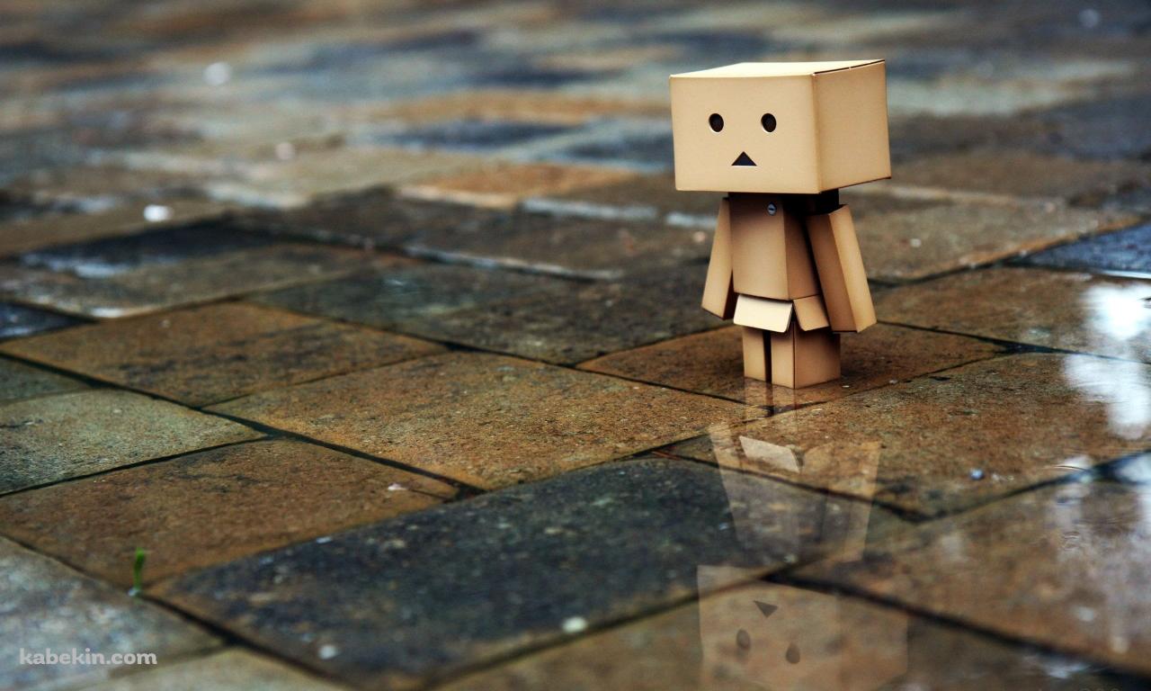 雨の日 佇むダンボーの壁紙(1280px x 768px) 高画質 PC・デスクトップ用