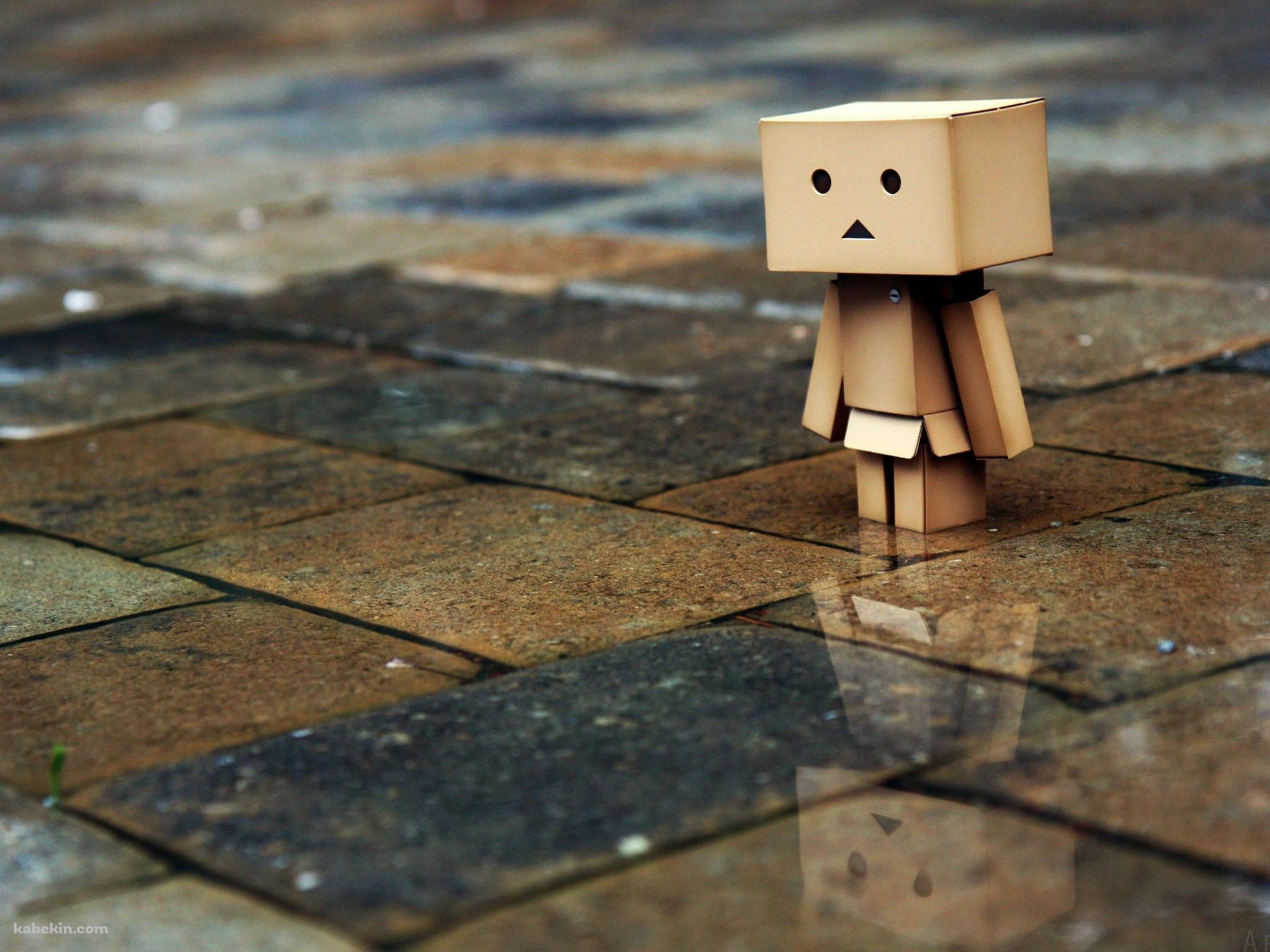 雨の日 佇むダンボーの壁紙(2048px x 1536px) 高画質 PC・デスクトップ用