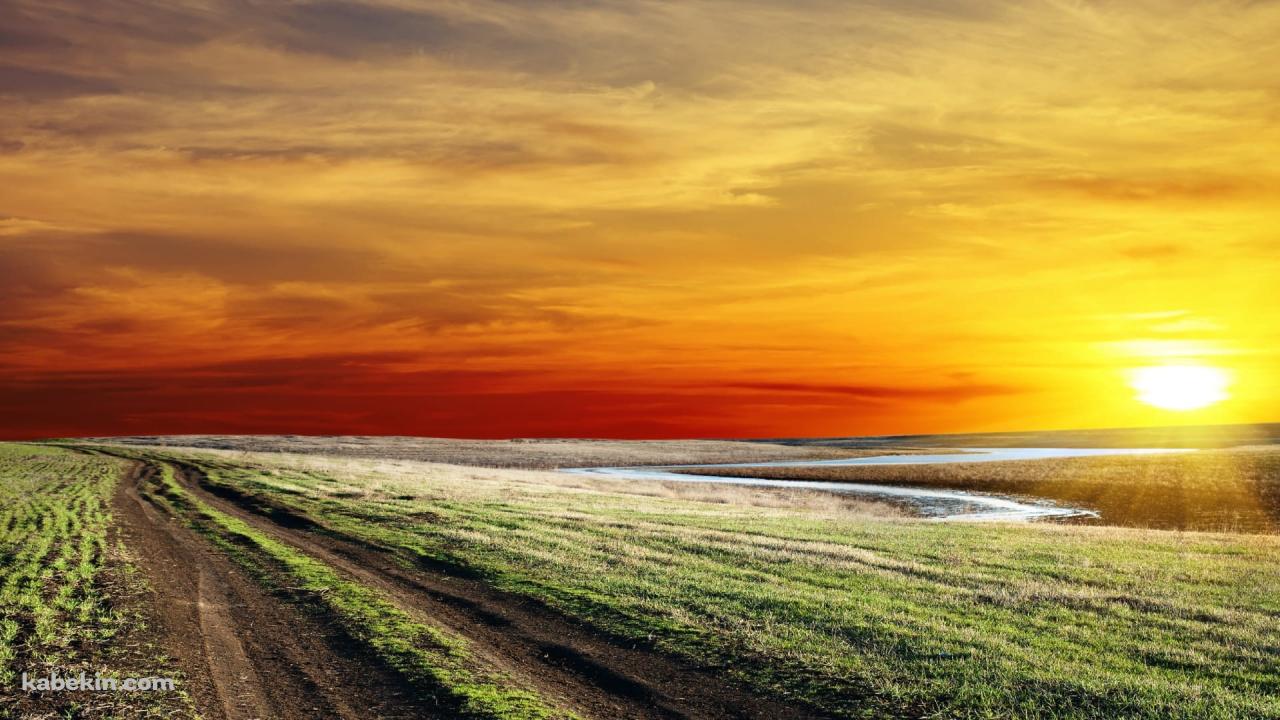 轍残るあぜ道と夕陽の壁紙(1280px x 720px) 高画質 PC・デスクトップ用