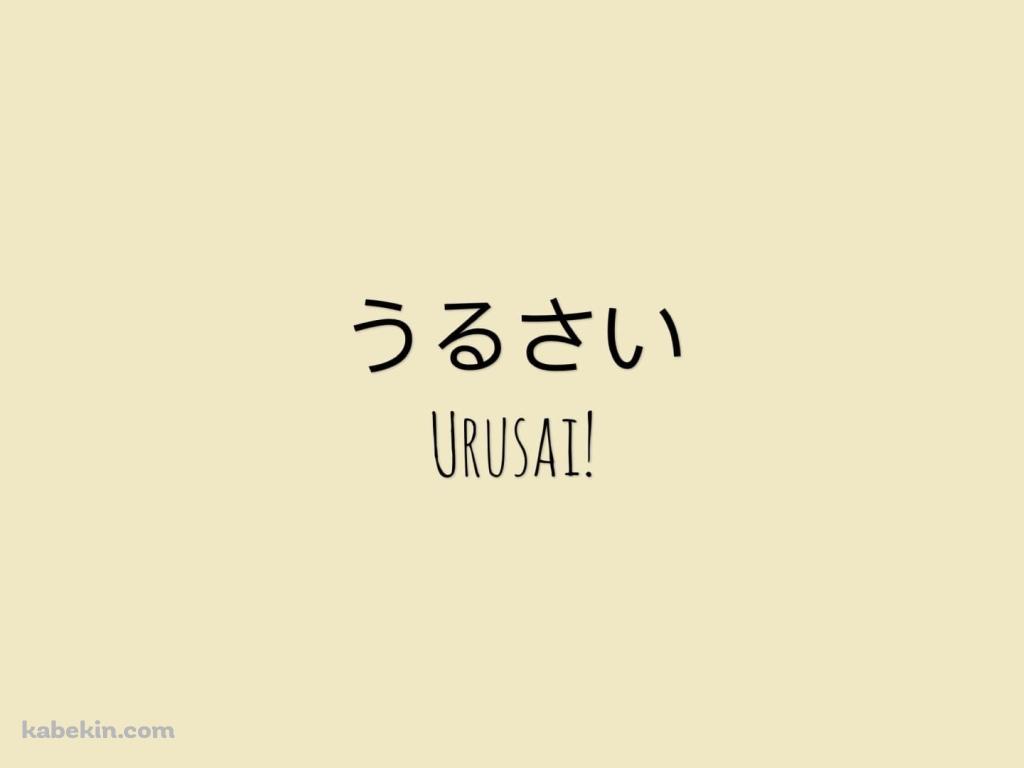 うるさい / URUSAIの壁紙(1024px x 768px) 高画質 PC・デスクトップ用
