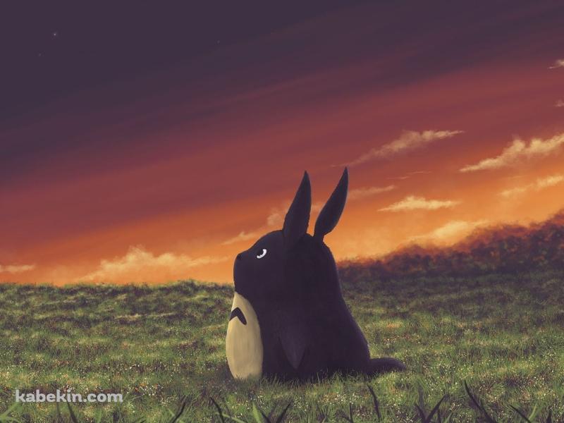 かわいいトトロ 夕暮れ 草原の壁紙(800px x 600px) 高画質 PC・デスクトップ用