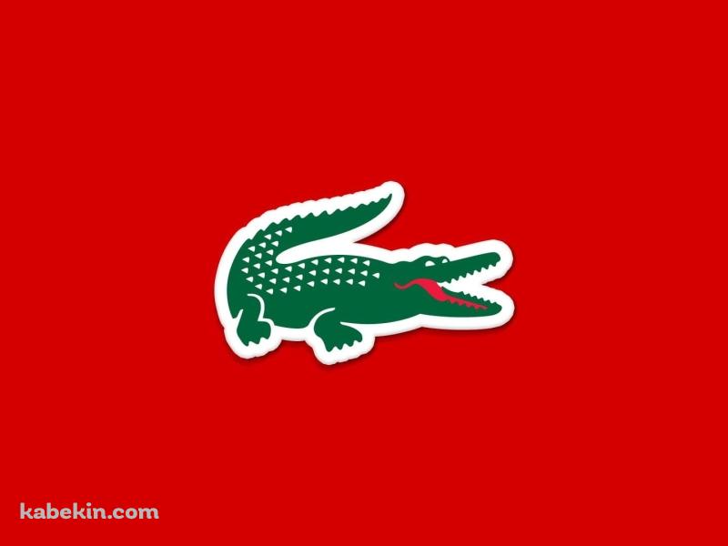 ラコステ Lacoste ワニの壁紙(800px x 600px) 高画質 PC・デスクトップ用