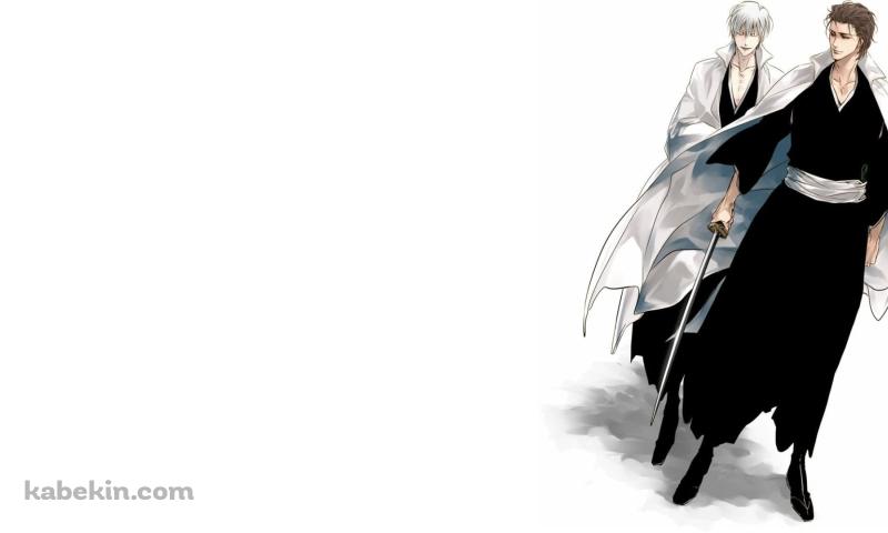 藍染惣右介と市丸ギン / BLEACH(800x480px)のデスクトップPC用の壁紙