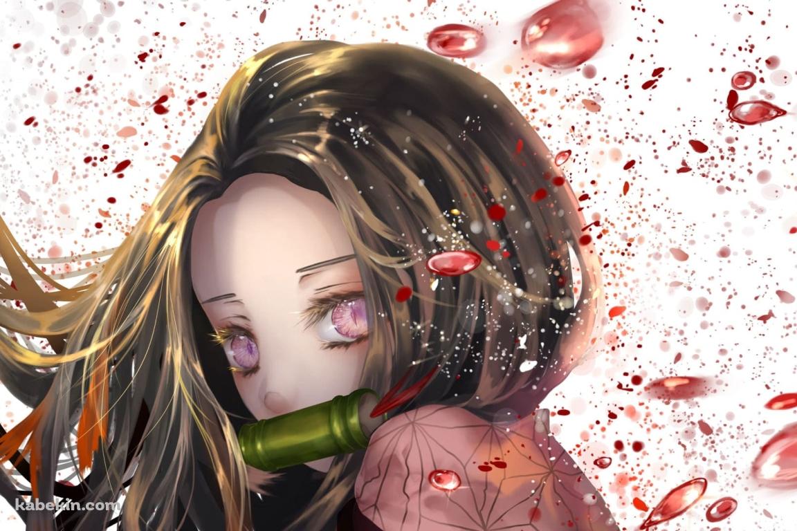 竈門禰豆子（かまどねずこ） / 鬼滅の刃 / 背景の壁紙(1152px x 768px) 高画質 PC・デスクトップ用