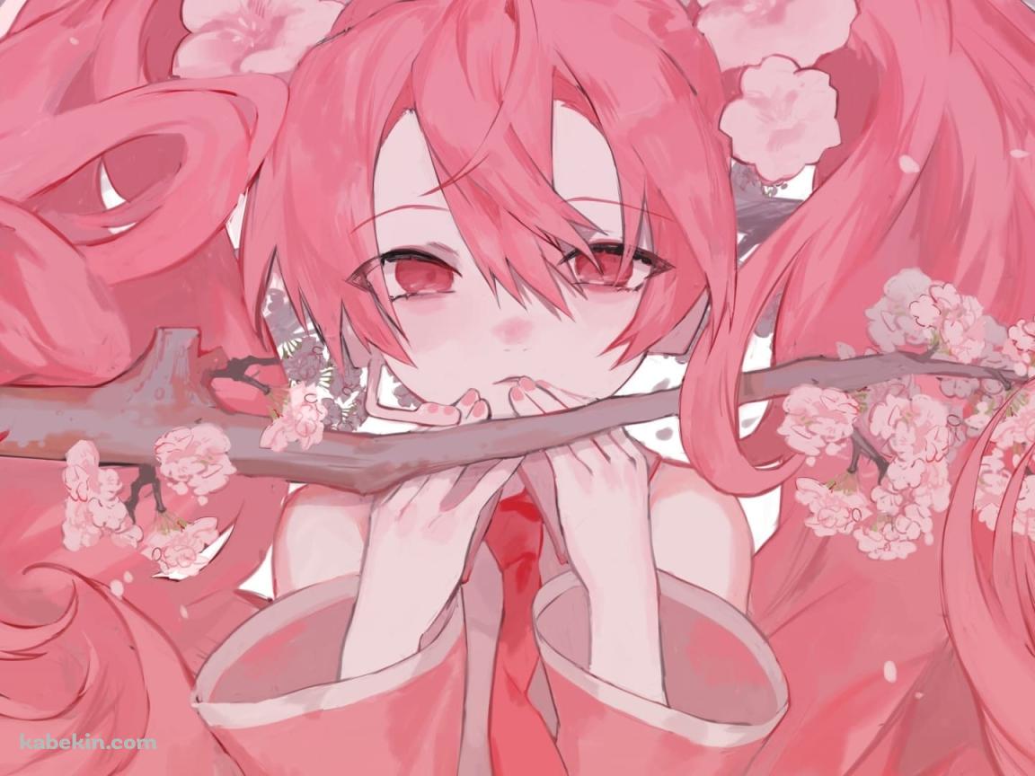 桜ミク / ボカロ / ファンアートの壁紙(1152px x 864px) 高画質 PC・デスクトップ用