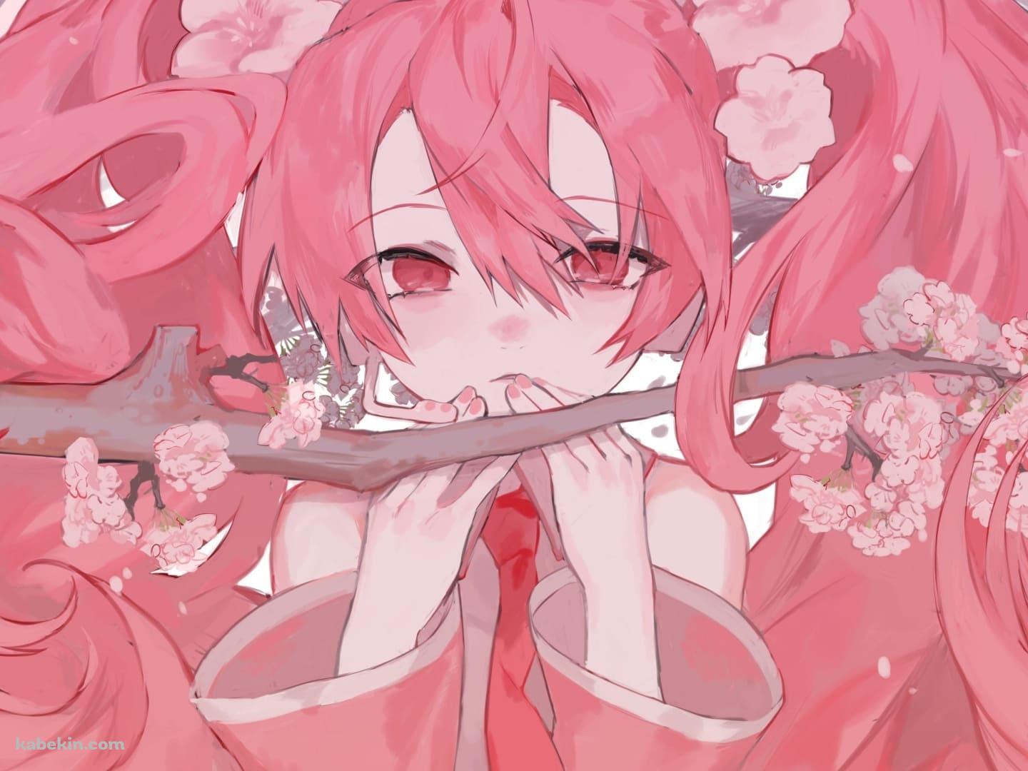 桜ミク / ボカロ / ファンアートの壁紙(1440px x 1080px) 高画質 PC・デスクトップ用