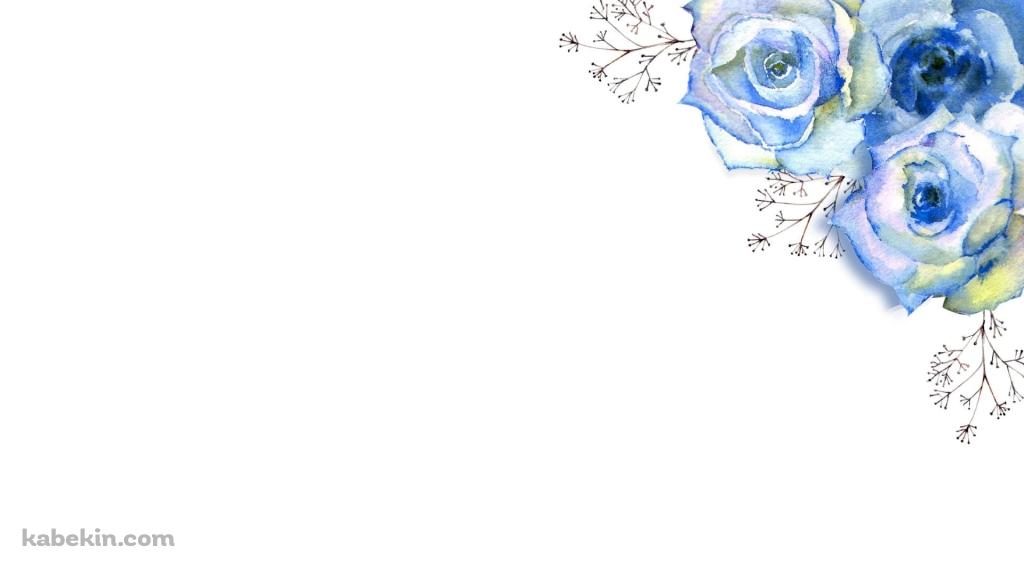 綺麗な青い薔薇 / 水彩の壁紙(1024px x 576px) 高画質 PC・デスクトップ用