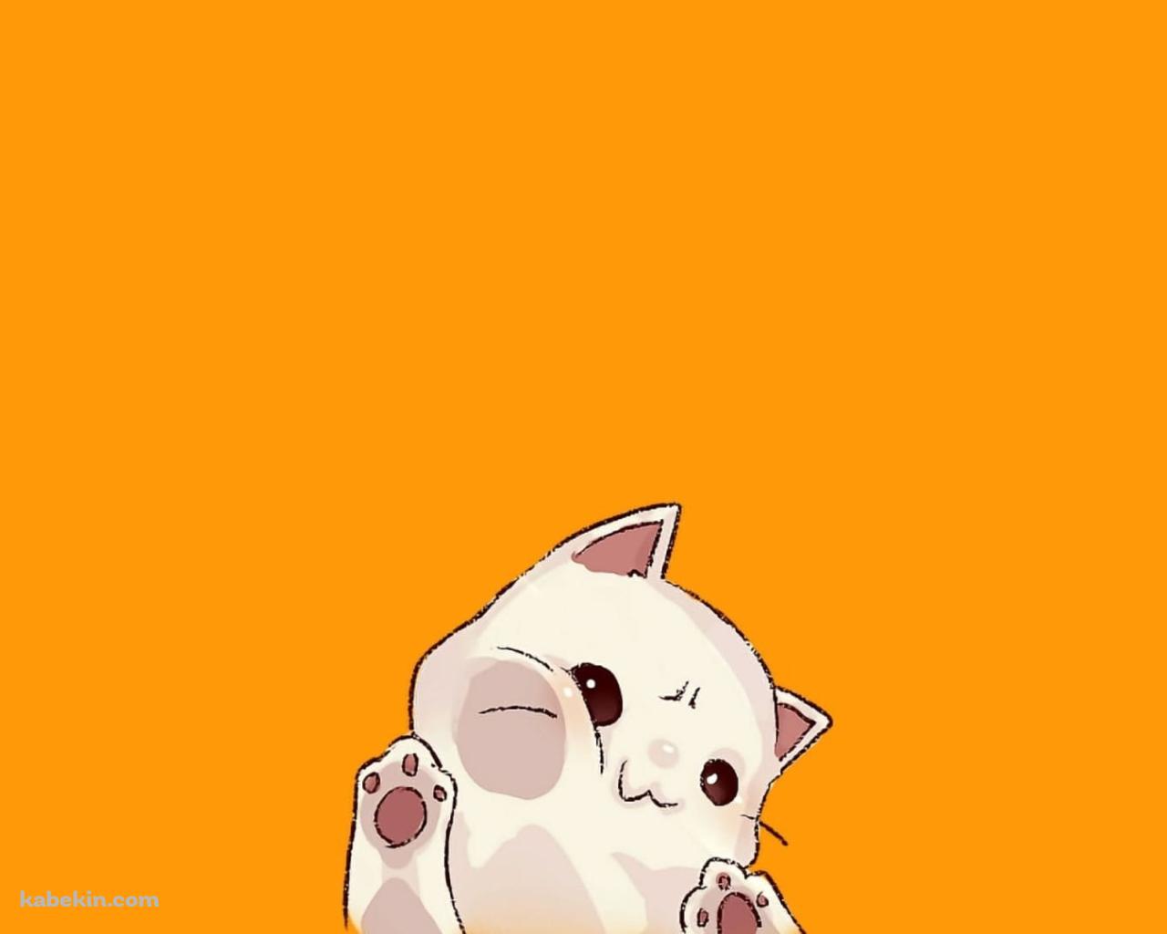 画面に顔を押しつけている白猫 / かわいいの壁紙(1280px x 1024px) 高画質 PC・デスクトップ用