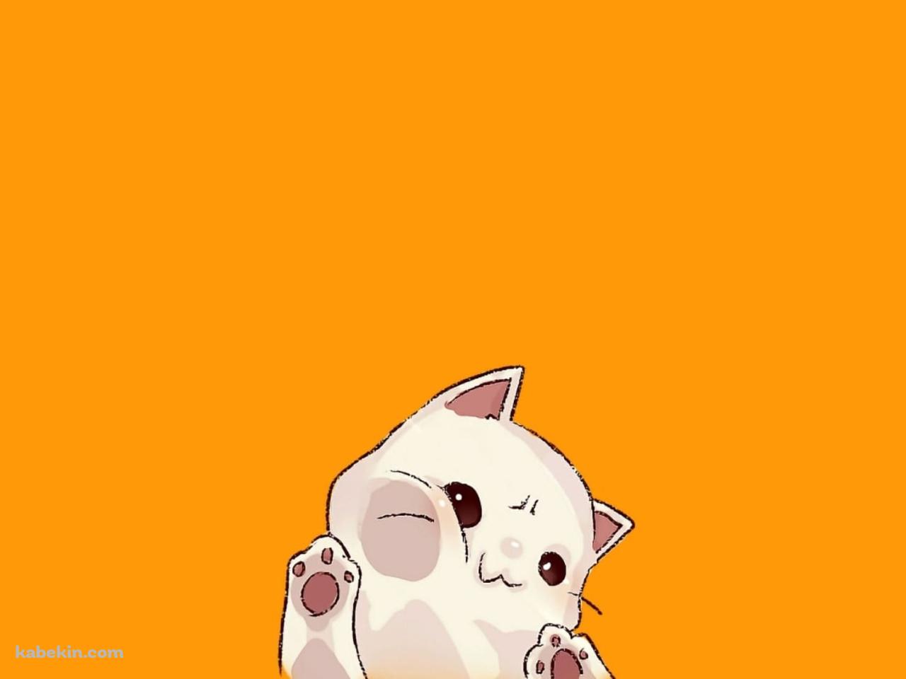 画面に顔を押しつけている白猫 / かわいいの壁紙(1280px x 960px) 高画質 PC・デスクトップ用