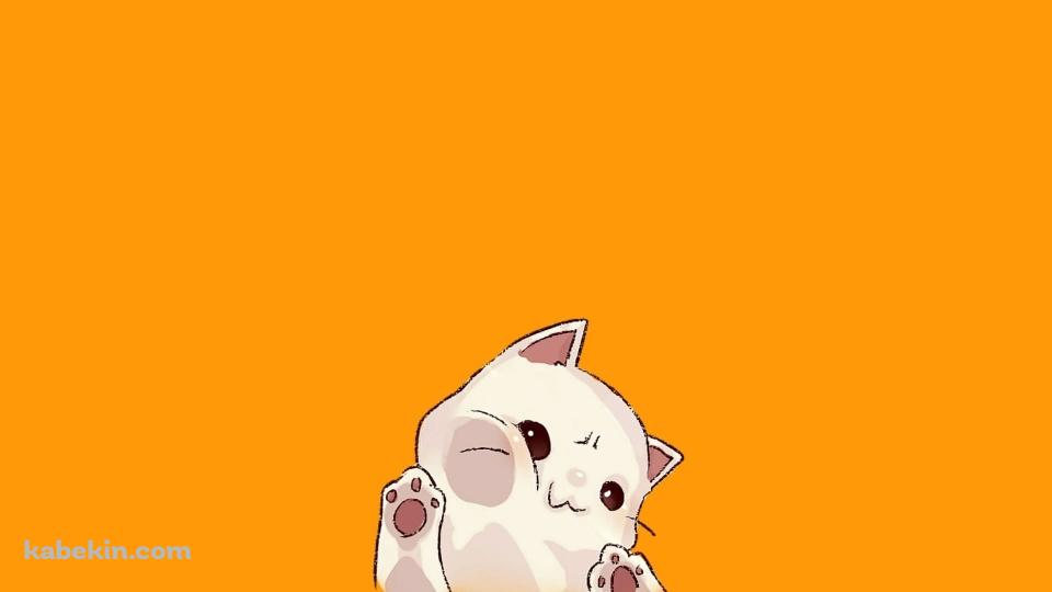 画面に顔を押しつけている白猫 / かわいいの壁紙(960px x 540px) 高画質 PC・デスクトップ用