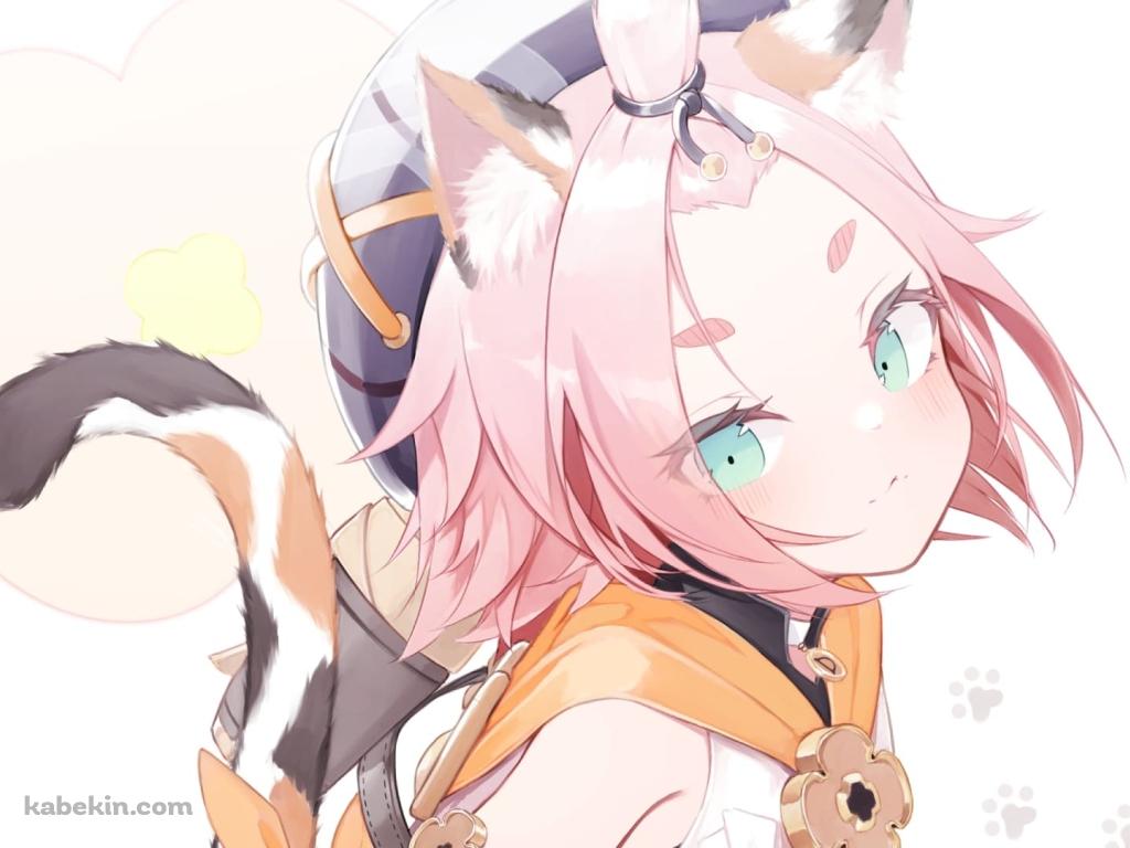 かわいいディオナ / 原神インパクト / ファンアートの壁紙(1024px x 768px) 高画質 PC・デスクトップ用