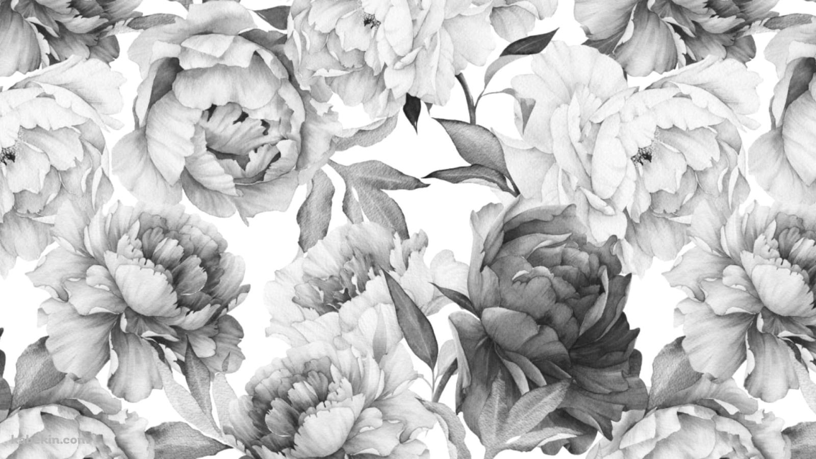 白・黒の花のパターン / 手書きの壁紙(1600px x 900px) 高画質 PC・デスクトップ用