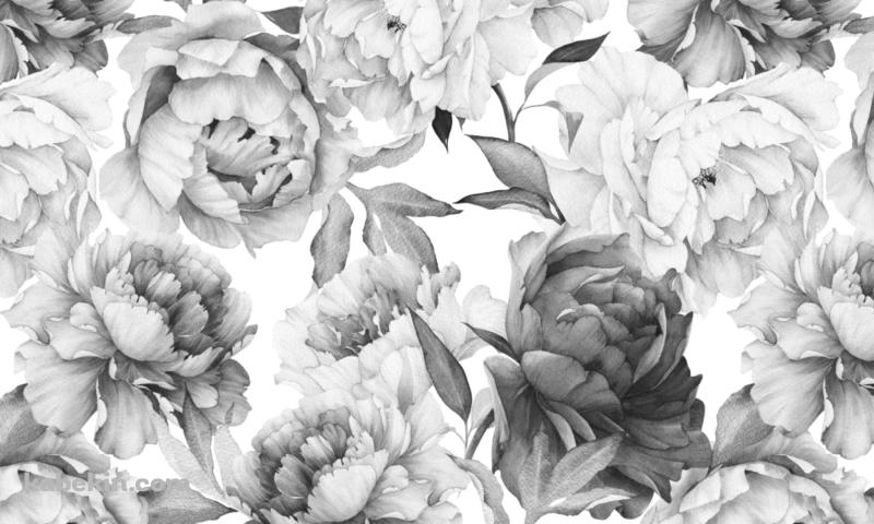 白・黒の花のパターン / 手書きの壁紙(800px x 480px) 高画質 PC・デスクトップ用