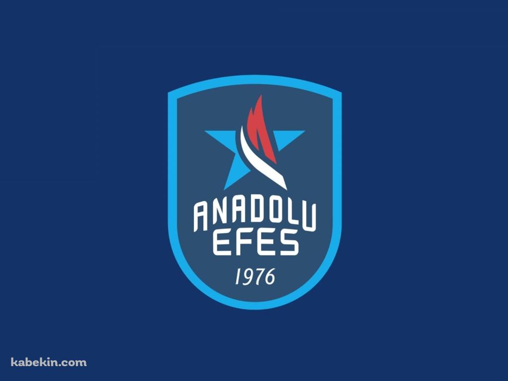 アナドル・エフェスSK / Anadolu Efesの壁紙(1024px x 768px) 高画質 PC・デスクトップ用
