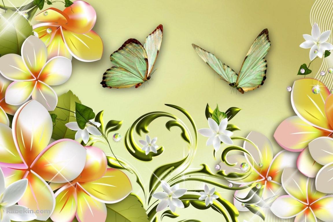 プルメリアの花と蝶 / アートの壁紙(1152px x 768px) 高画質 PC・デスクトップ用