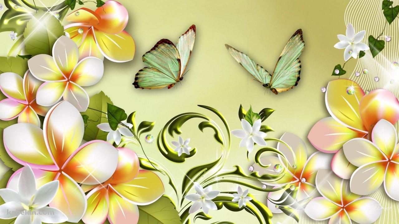 プルメリアの花と蝶 / アートの壁紙(1280px x 720px) 高画質 PC・デスクトップ用