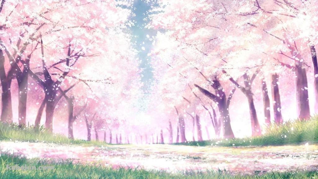 桜並木 / イラストの壁紙(1024px x 576px) 高画質 PC・デスクトップ用