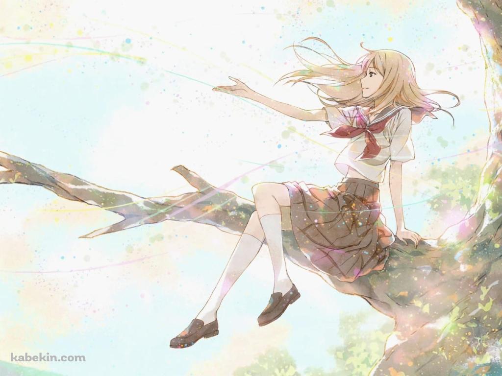 夏目レイコ / 夏目友人帳 / ファンアートの壁紙(1024px x 768px) 高画質 PC・デスクトップ用