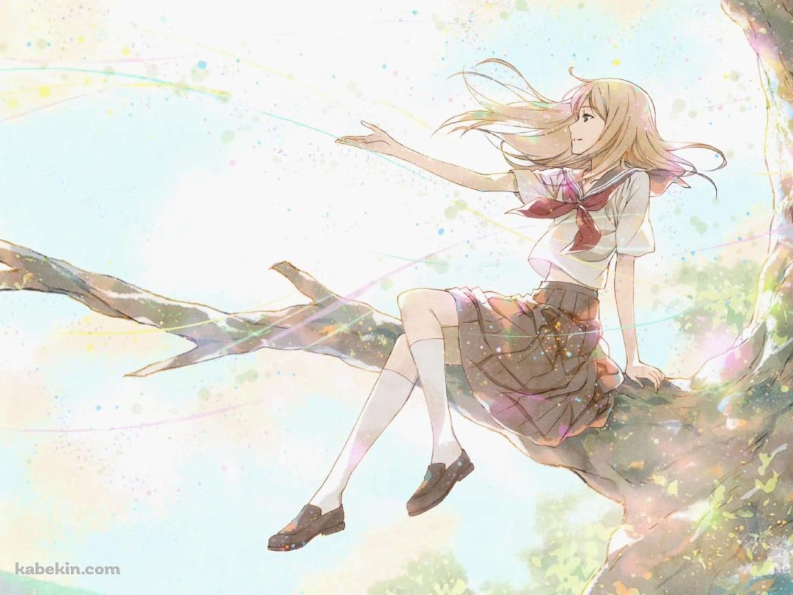 夏目レイコ / 夏目友人帳 / ファンアートの壁紙(1152px x 864px) 高画質 PC・デスクトップ用