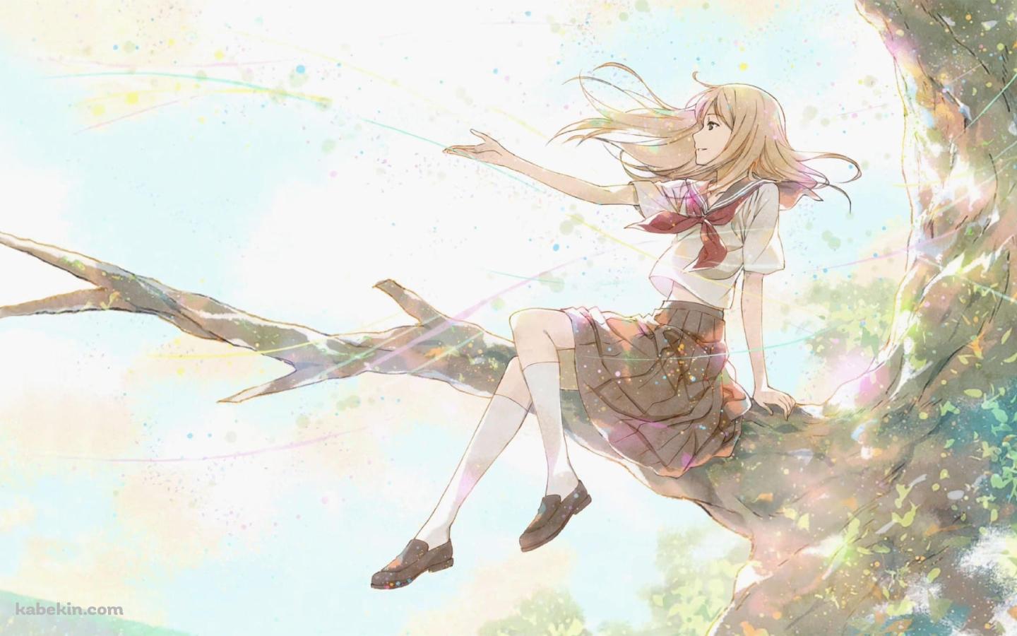 夏目レイコ / 夏目友人帳 / ファンアートの壁紙(1440px x 900px) 高画質 PC・デスクトップ用