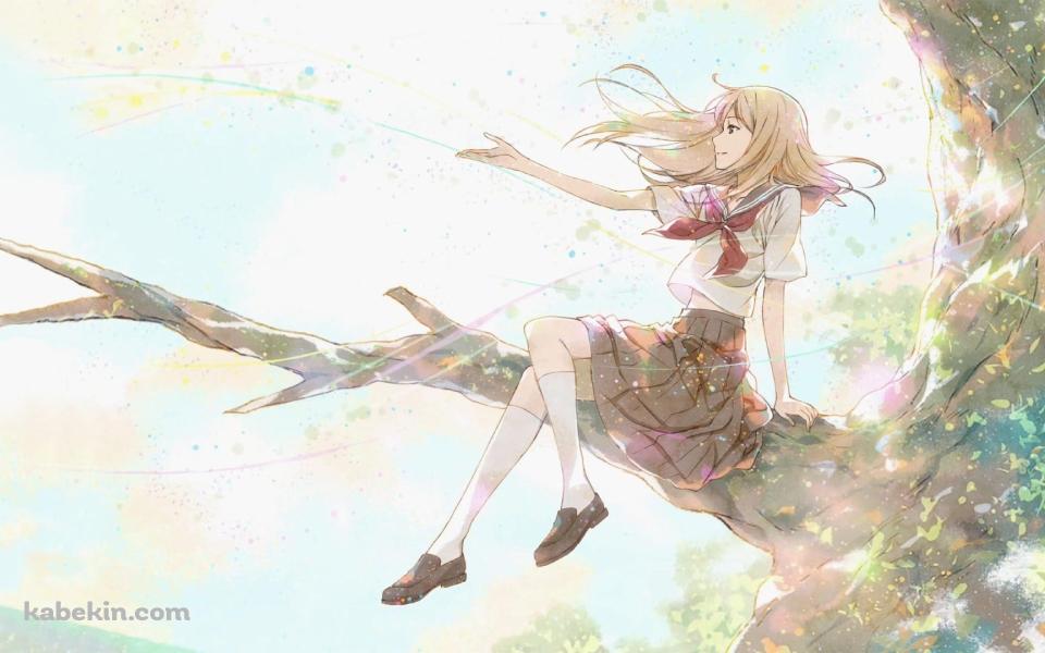 夏目レイコ / 夏目友人帳 / ファンアートの壁紙(960px x 600px) 高画質 PC・デスクトップ用