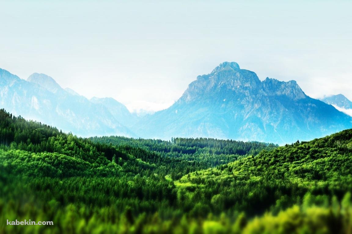 めちゃくちゃ綺麗な広大な森と遠くに見える山 / 夏の景色の壁紙(1152px x 768px) 高画質 PC・デスクトップ用