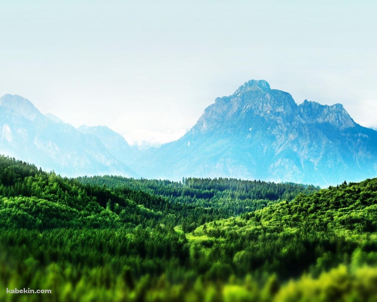 めちゃくちゃ綺麗な広大な森と遠くに見える山 / 夏の景色の壁紙(1280px x 1024px) 高画質 PC・デスクトップ用