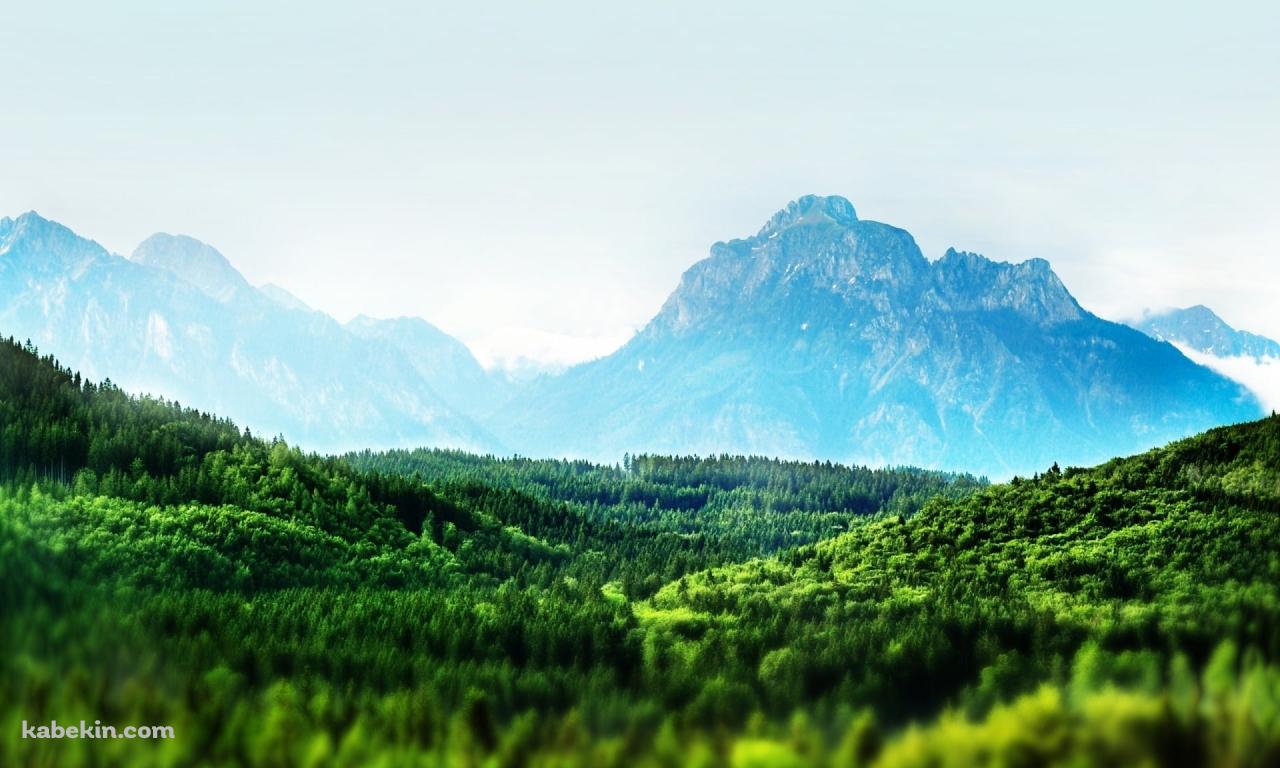 めちゃくちゃ綺麗な広大な森と遠くに見える山 / 夏の景色の壁紙(1280px x 768px) 高画質 PC・デスクトップ用