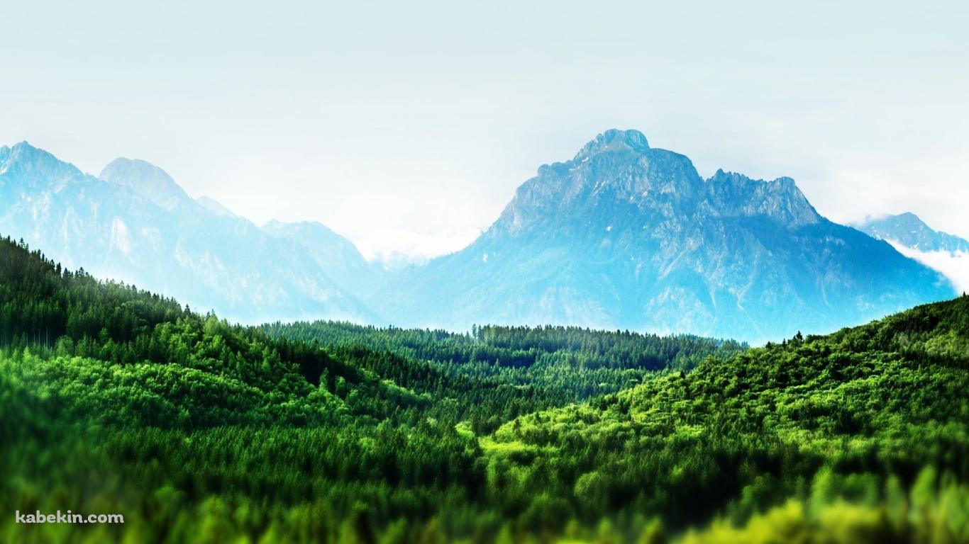 めちゃくちゃ綺麗な広大な森と遠くに見える山 / 夏の景色の壁紙(1366px x 768px) 高画質 PC・デスクトップ用