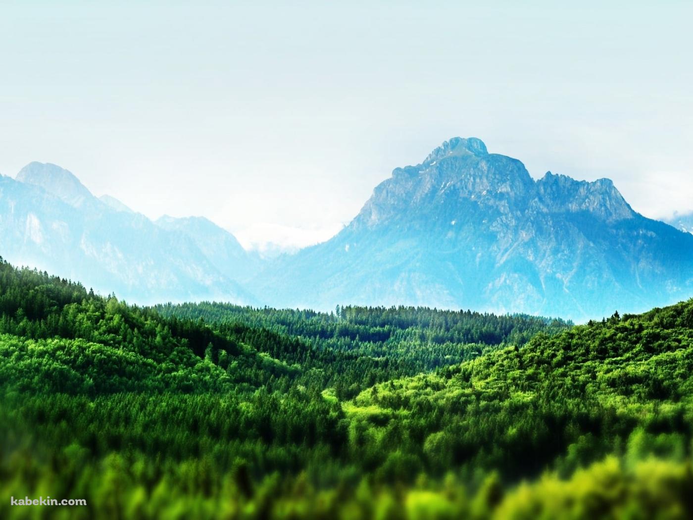 めちゃくちゃ綺麗な広大な森と遠くに見える山 / 夏の景色の壁紙(1400px x 1050px) 高画質 PC・デスクトップ用
